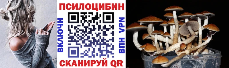 где можно купить наркотик  Лыткарино  блэк спрут сайт  Псилоцибиновые грибы мухоморы 